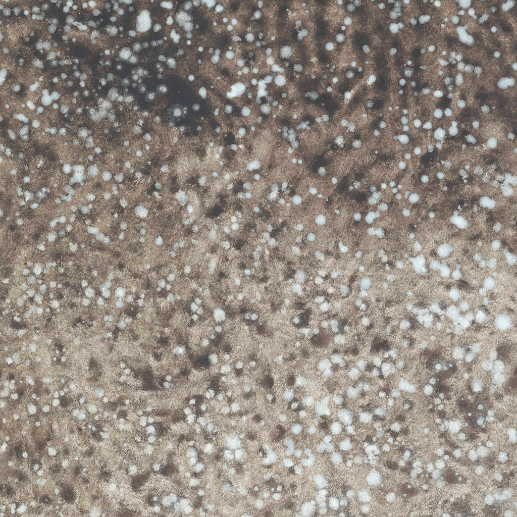 Neige Brown